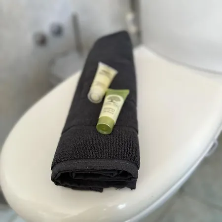 شقة το σπίτι της ειρήνης سكيروس