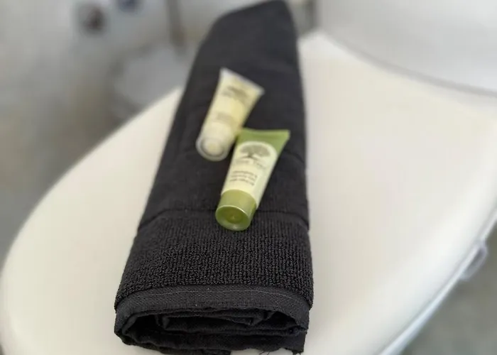 Apartamento το σπίτι της ειρήνης Skyros